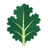 Kapusta